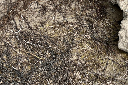 Das Bild im Dialog © Reiner Maria Borchard 2026