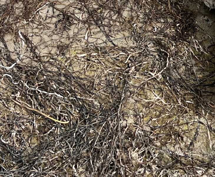 Das Bild im Dialog © Reiner Maria Borchard 2026