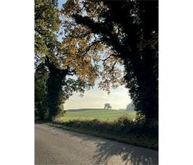 Blick aufs Feld (Abzug auf Alu-Dibond) von Reiner Maria Borchard