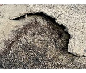 Gras und Sand (Abzug auf Alu-Dibond) von Reiner Maria Borchard