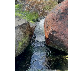 Wasserschlucht (Abzug auf Alu-Dibond) von Reiner Maria Borchard